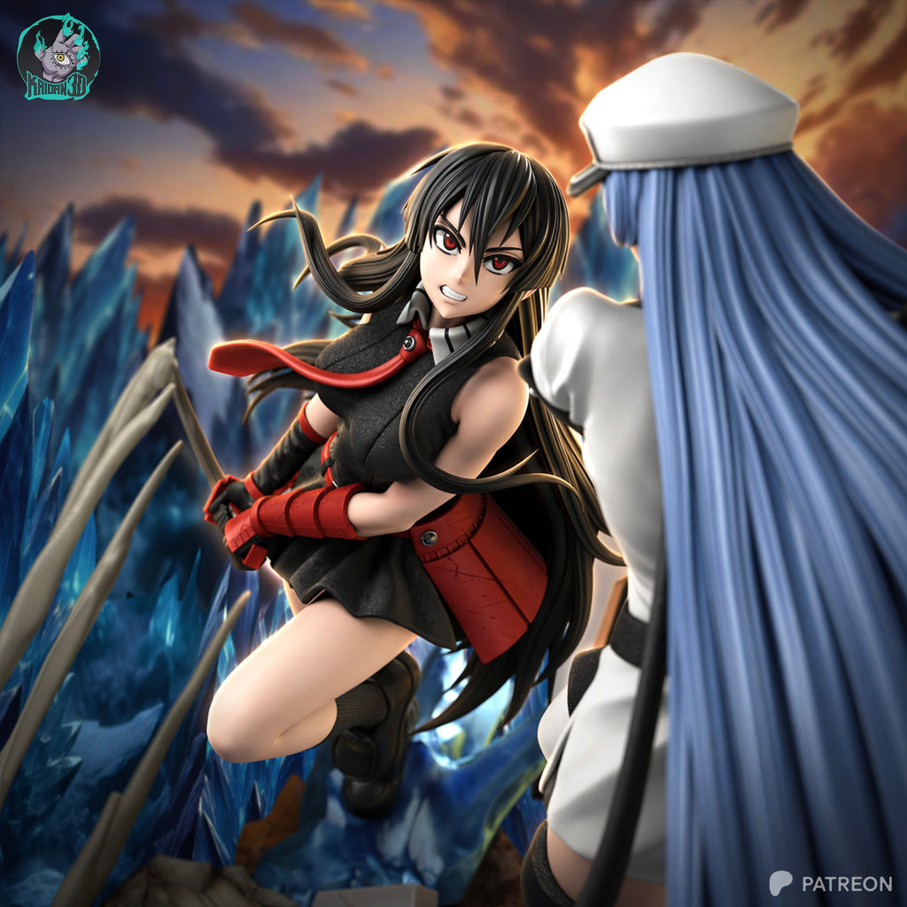 Akame vs Esdeath Diorama