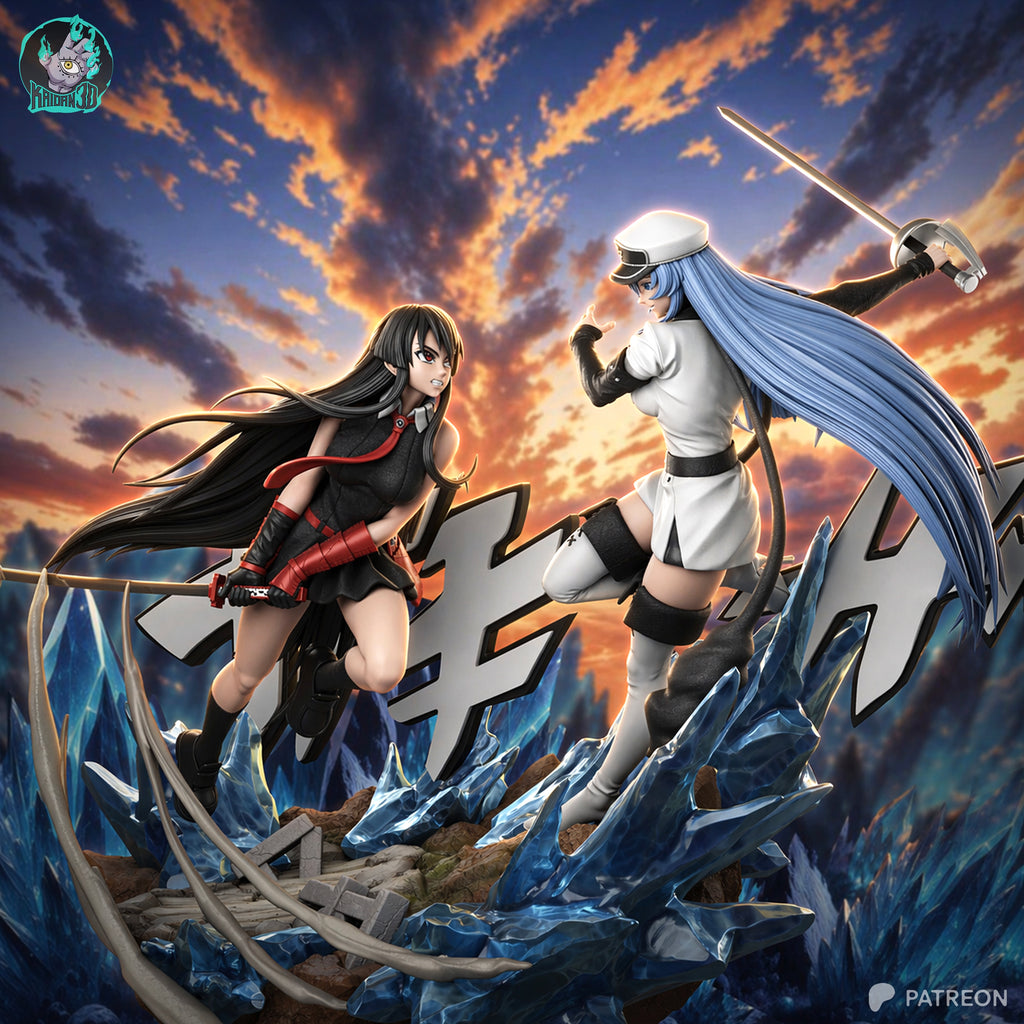 Akame vs Esdeath Diorama